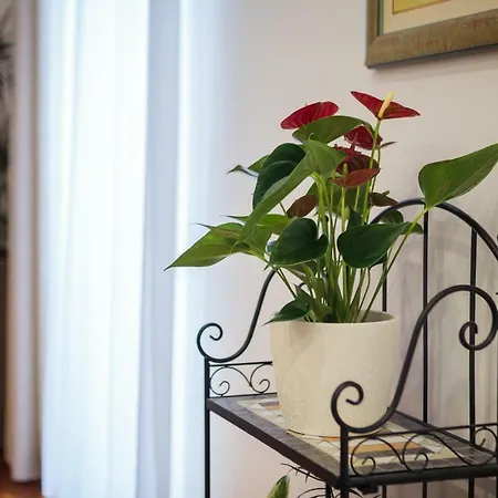 Luxury Luce * スプリト